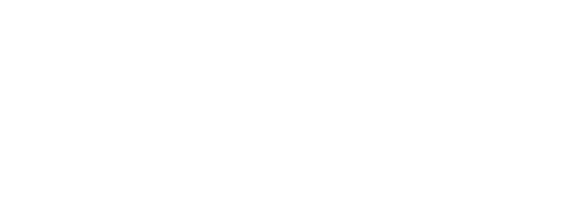 Mary Homes